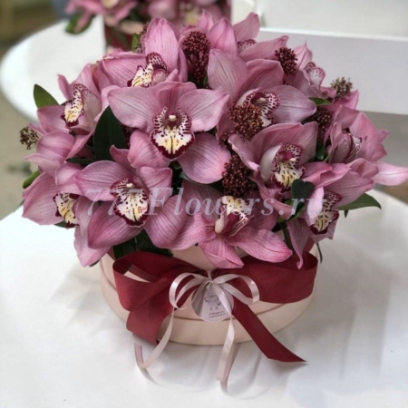 №0837 - Шляпная коробка с розовой орхидеей - фото 777flowers