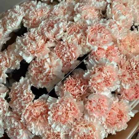 №86 - фото 777flowers