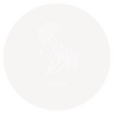 №42 - фото 777flowers