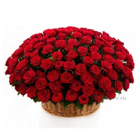 №4019 - Корзина из 101 красной розы - фото 777flowers
