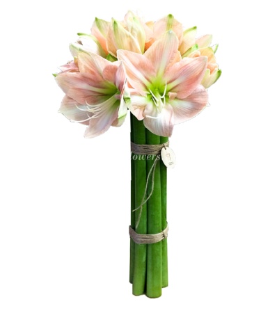 №1029 - Букет из нежно-розовых амариллисов - фото 777flowers