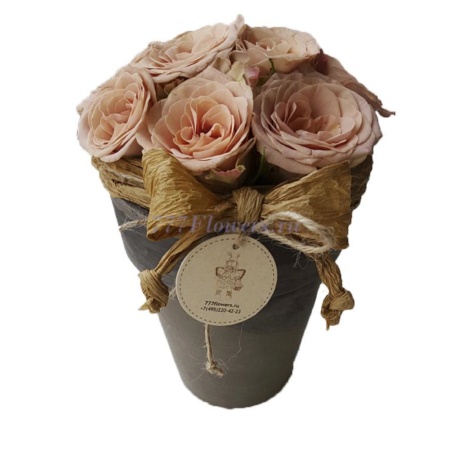 №7005 - Интерьерная композиция с розами Каппучино - фото 777flowers