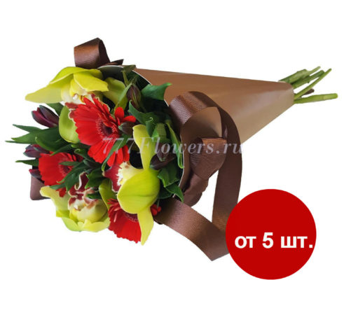К0903 - Фирменный конус с гермини и орхидеями - фото 777flowers