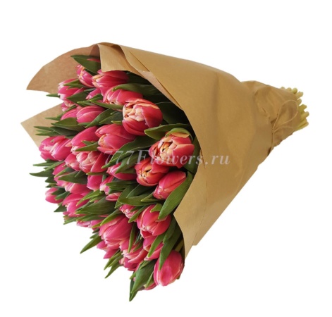 №1533 - Тюльпаны ярко-розовые пионовидные 50 шт. - фото 777flowers