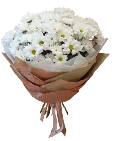 №1061 - Букет белых хризантем - фото 777flowers
