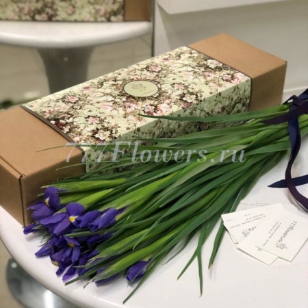 №5512 - Фирменная коробка FlowerCase Ирисы - фото 777flowers