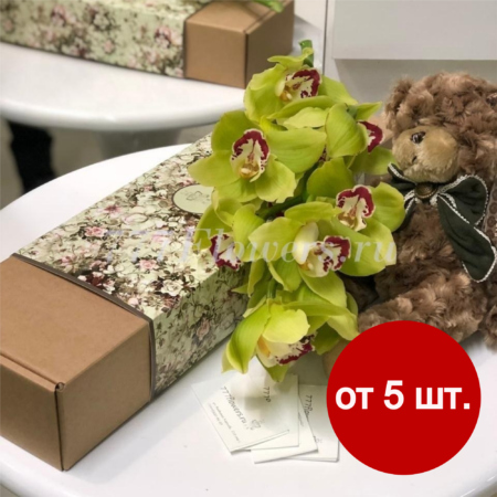 К5514 - Фирменная коробка FlowerCase Орхидея - фото 777flowers