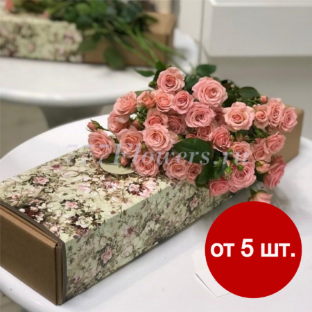 К5516 - Фирменная коробка FlowerCase Кустовые розы - фото 777flowers