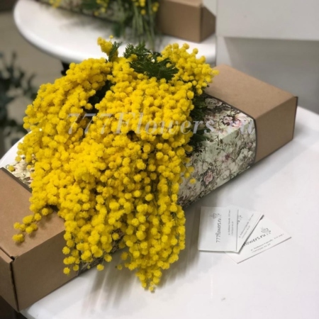 №5520 - Фирменная коробка FlowerCase Мимоза - фото 777flowers