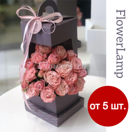 К5712 - Фирменная коробка FlowerLamp с кустовой розой - фото 777flowers
