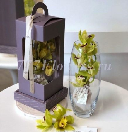 №5722 - Фирменная коробка FlowerLamp с орхидеей в вазе - фото 777flowers